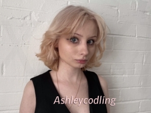 Ashleycodling