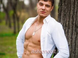 Ashtoncolt