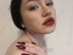 Audreybigge