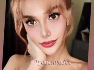 Ayabermudes