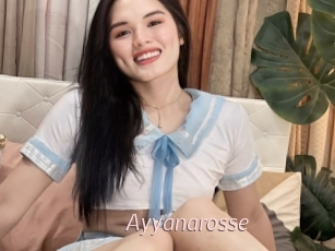 Ayyanarosse