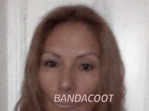 BANDACOOT