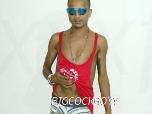 BIGCOCKBOYY