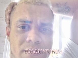 BIGDICKFORU4