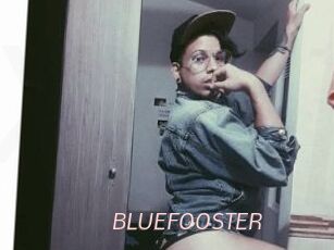 BLUEFOOSTER