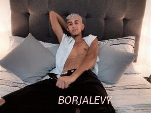 BORJALEVY