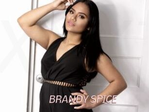 BRANDY_SPICE