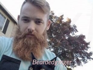 Beardedginger