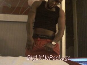 BigLittlePackage