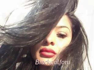 Blackcatforu