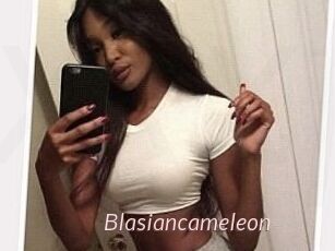 Blasiancameleon
