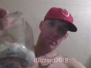 Blizzard2018