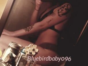 Bluebirdbaby096