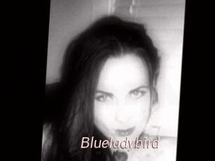 Blueladybird
