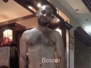 Bosom