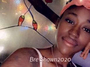 Bre_Shawn2020