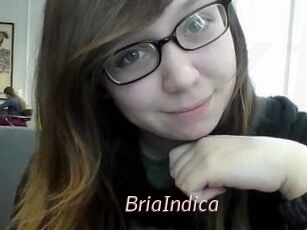 BriaIndica
