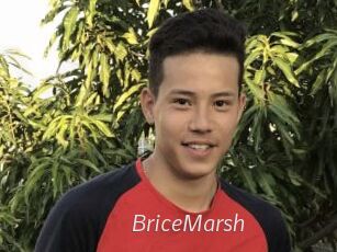 BriceMarsh