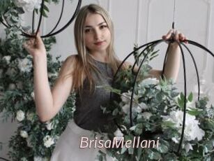 BrisaMellani