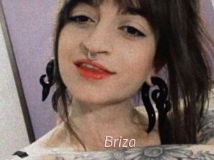 Briza