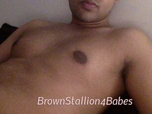 BrownStallion4Babes