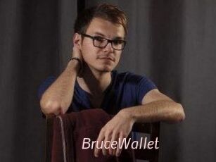 BruceWallet