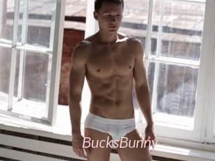 BucksBunny
