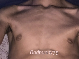 Badbunny75
