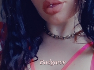 Badgarce