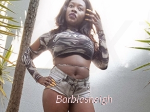 Barbiesneigh