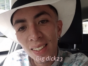 Big_dick23