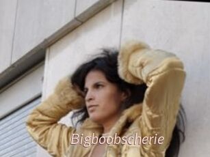 Bigboobscherie