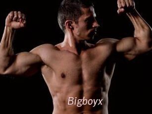 Bigboyx