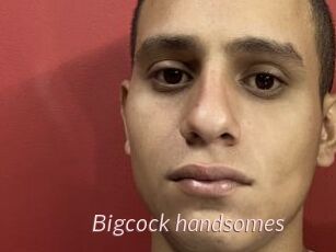 Bigcock_handsomes