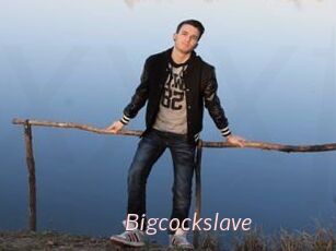 Bigcockslave