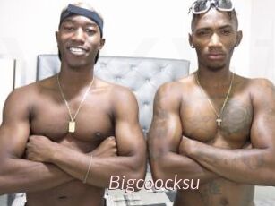 Bigcoocksu