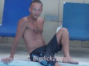 Bigdick22cm