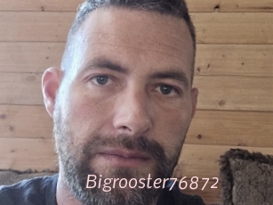 Bigrooster76872
