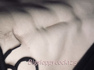Bigsloppycock125