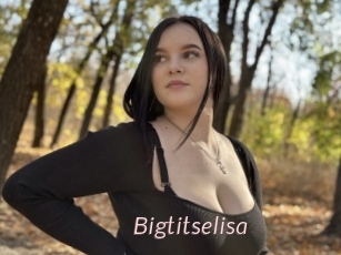 Bigtitselisa
