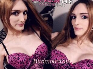 Birdmountain