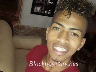 Blackboy12inches