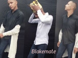 Blakemate