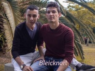 Bleicknort