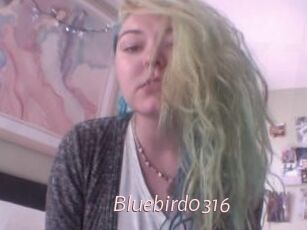 Bluebird0316
