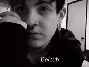 Boicub