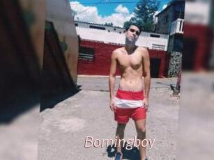 Borningboy
