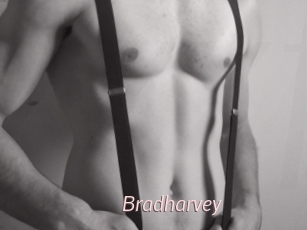 Bradharvey