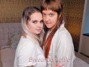 Breeandantonia