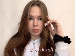 Breedevall
